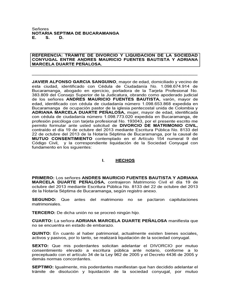 Divorcio y Liquidación de Bienes Fuentes-Duarte | PDF | Divorcio ...