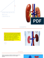 Historia de La Enfermedad Erc