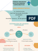 Flashcard de Desequilibrio Hidroelectrolítico - Axel Uriel Hernández Hernández