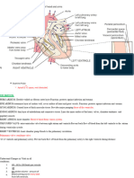 Cardiac Basics Student Copy.