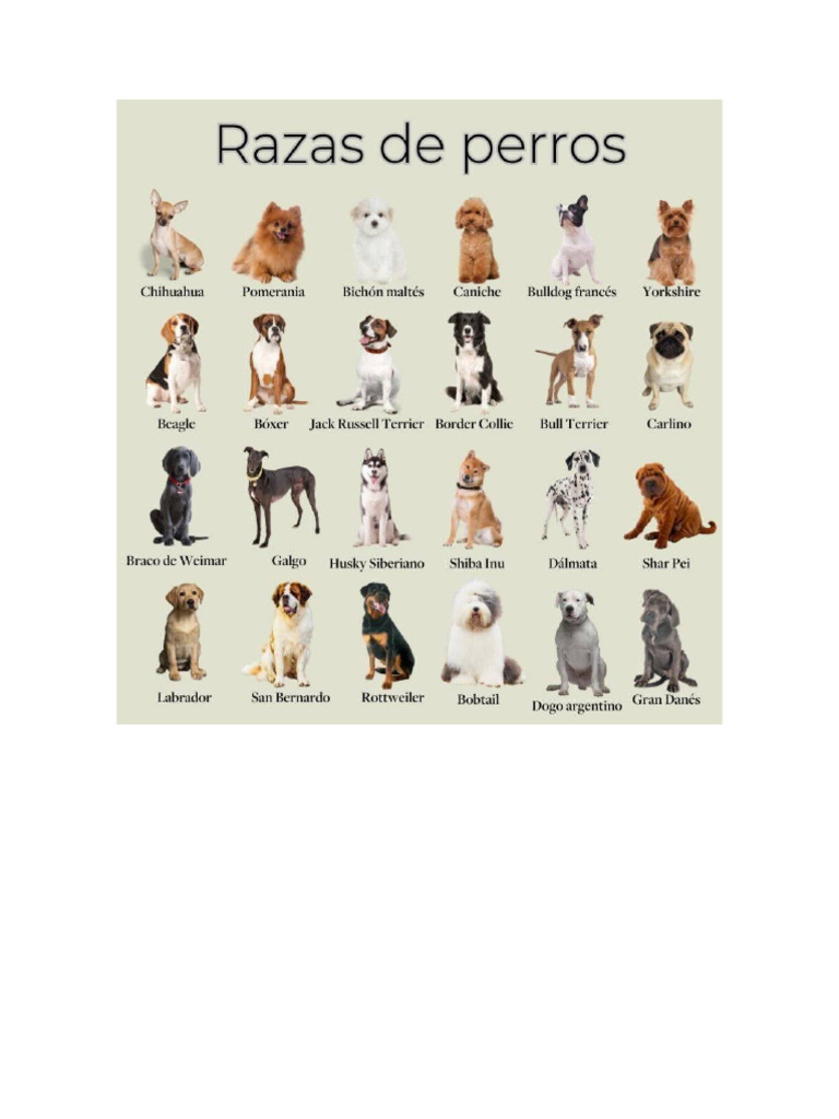 Raza de Perros | PDF
