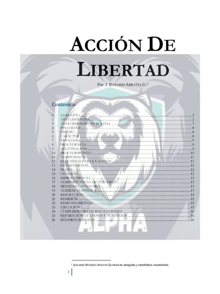 ACCION DE LIBERTAD - APUNTES | PDF