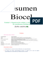 Resumen Biocel I 