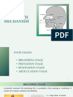  Speech Mechanism 