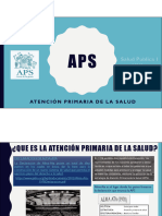 Presentacion APS 2021