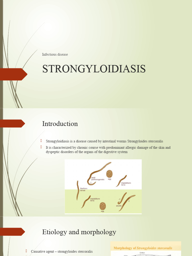 STRONGYLOIDIASIS | PDF | Gastroenterology | Microbiology