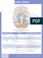 Cs Neuro 016 Cranial - Nerves