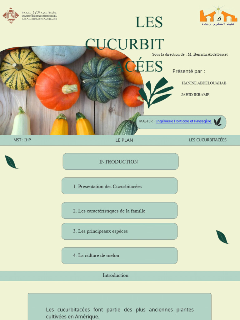 Les Cucurbitacées Caractéristiques et Culture PDF Pastèque — free download