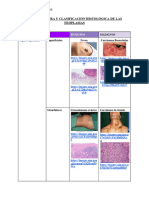 Nomenclatura y Clasificación Histológica de Las Neoplasias