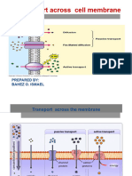 Cell Membrane