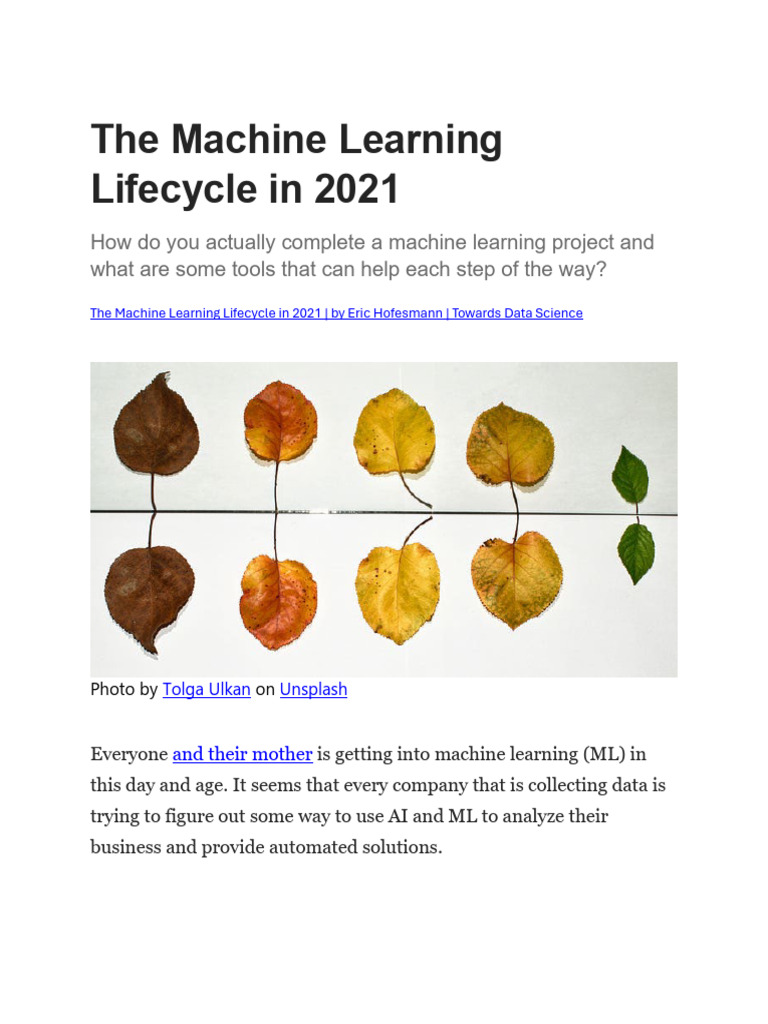 the-machine-learning-lifecycle-in-2021-pdf-machine-learning-life