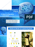 Tema 2.bases Biológicas de La Conducta (To)