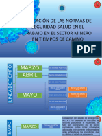 Aplicacion de Las Normas de SST, en El Sector Minero en Tiempos de Cambio