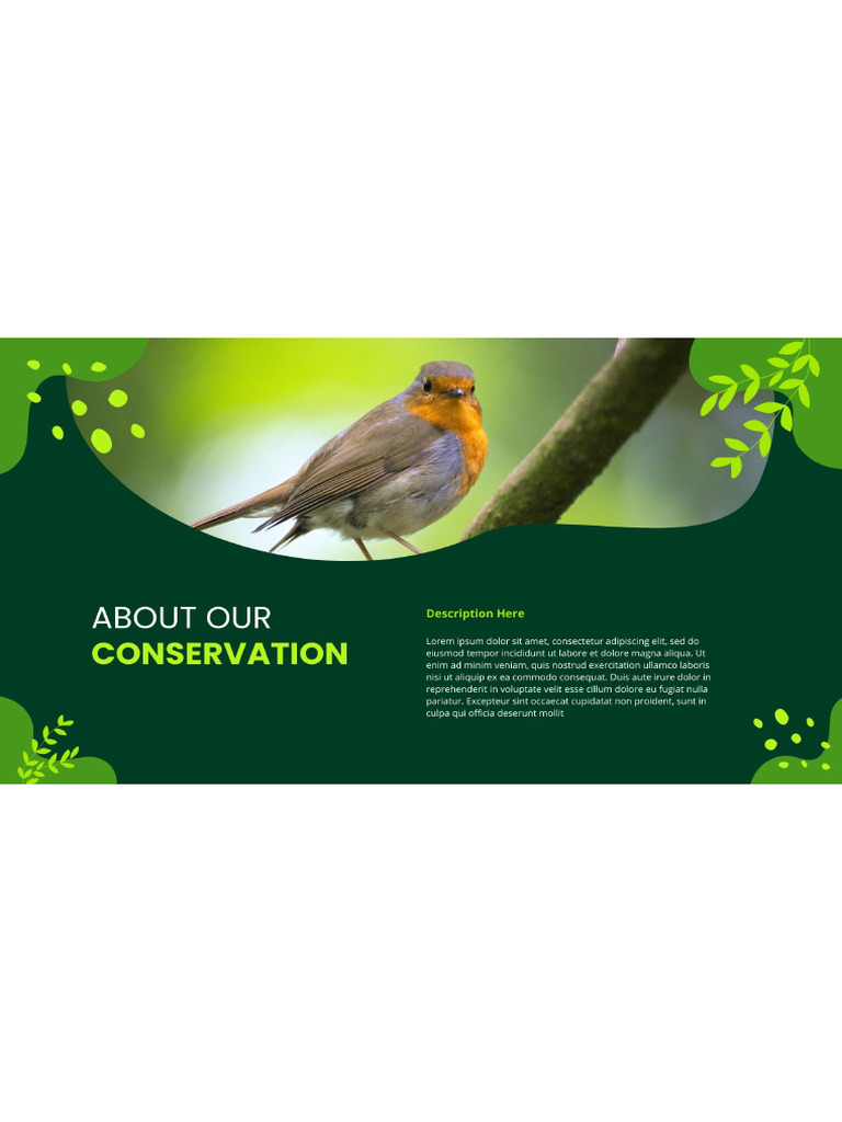 Bird Conservation Bharat | PDF