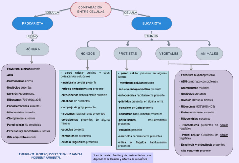 Comparativa de Células Eucariotas y Procariotas | PDF | Biología ...