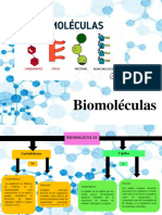 Biomoleculas 2