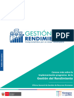 Gestion Del Rendimiento Presentacion