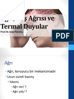 Ağrı, Baş Ağrısı Ve Termal Duyular