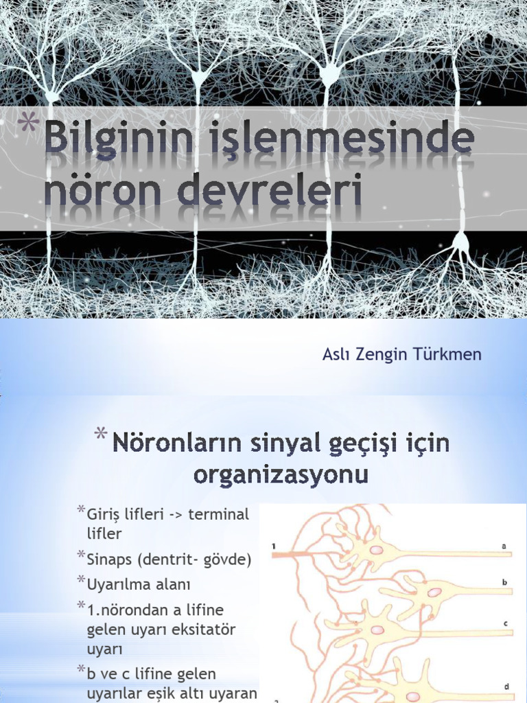 Duysal Reseptörler | PDF