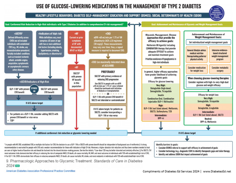Ada meds algorithm 2024 pdf