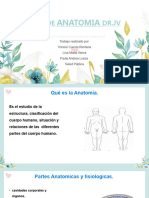 Guía de Anatomia y Cardiovascular Grupal.