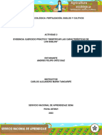 Ejercicio Practico Identificar Las Caracteristicas de Los Suelos Activi 2