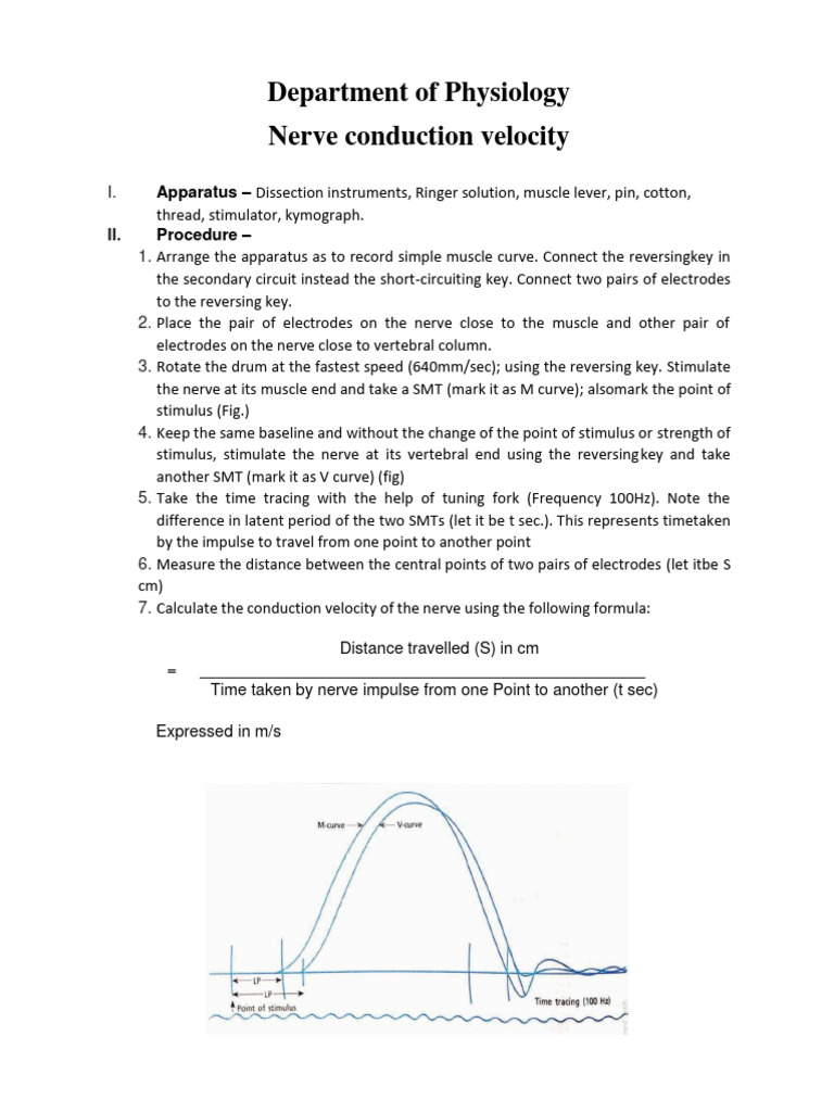Nerve Conduction Velocity in Frogs | PDF | Axon | Nerve