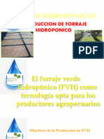 Cultivos Hidropónicos:: Produccion de Forraje Hidroponico