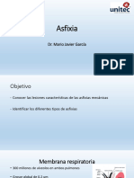 Asfixia 1