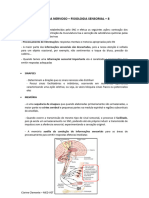 Sistema Nervoso Organização