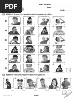 Unit 5 Test A Bugs Team 2 | PDF