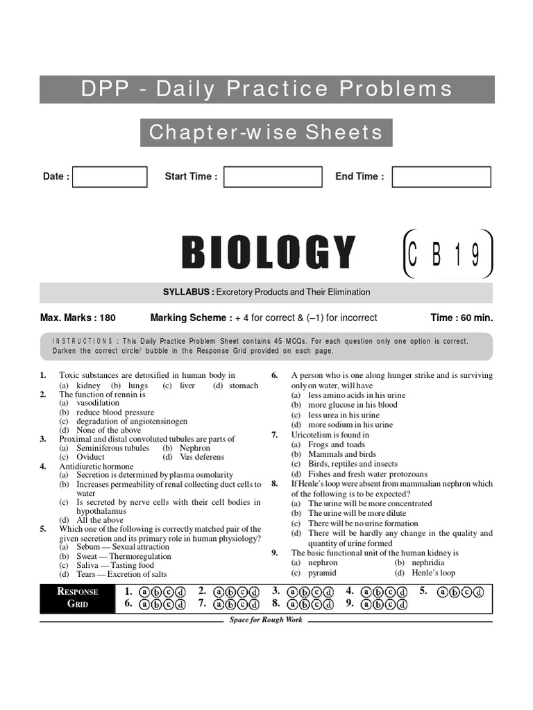 Excretion Download Free Pdf Kidney Urinary System