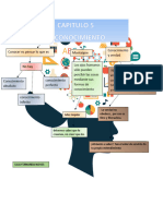 Mapa Conceptual El Conocimiento