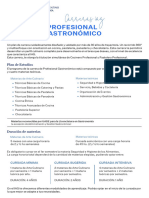 PDF Profesional Gastronomico Febrero