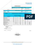 Peso Especifico y Absorción