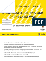 Thorax Musculoskeletal Anatomy