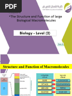 The Structure and Function of Large Biological Macromolecules