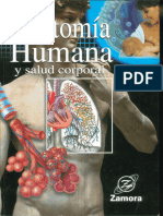 Anatomia