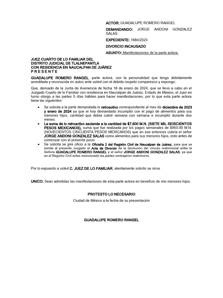 Manifestaciones Parte Actora | PDF | Derecho