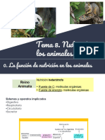 Ud8. Nutrición en Animales