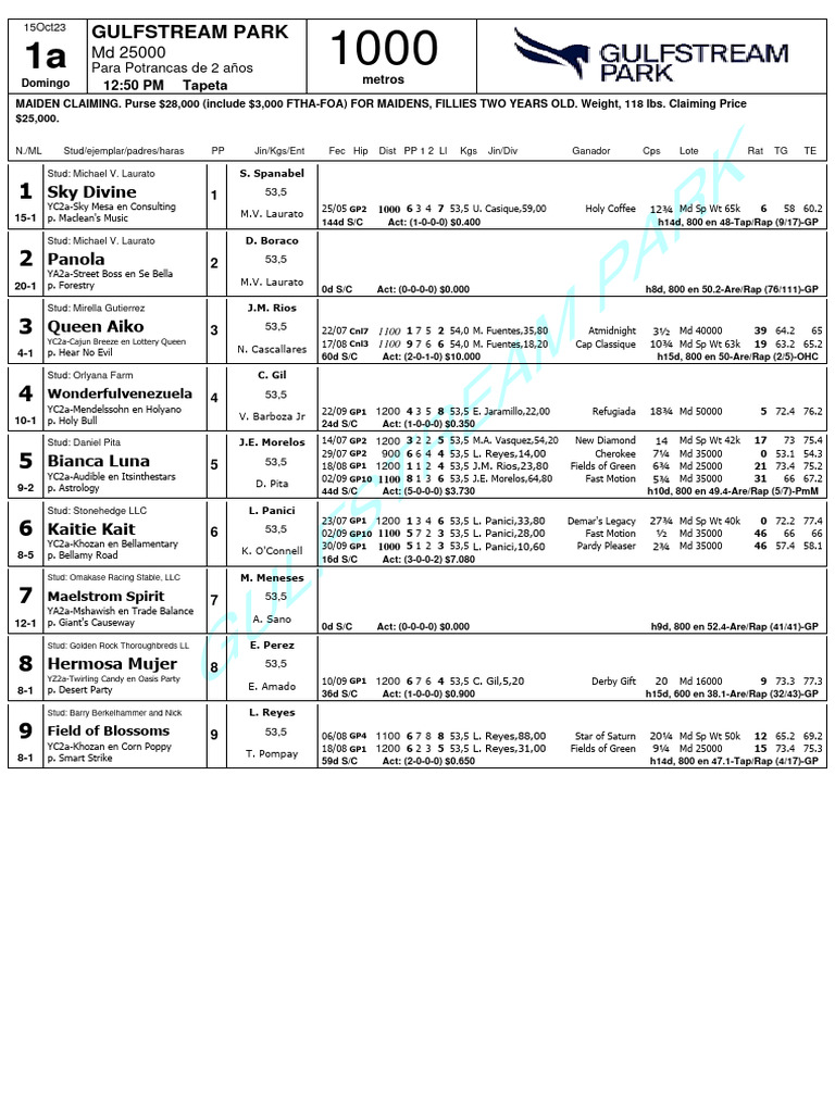 Gulfstream Park 2YO Maiden Claiming Race | PDF | Horse Racing ...
