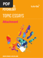 Attachment Model Essays