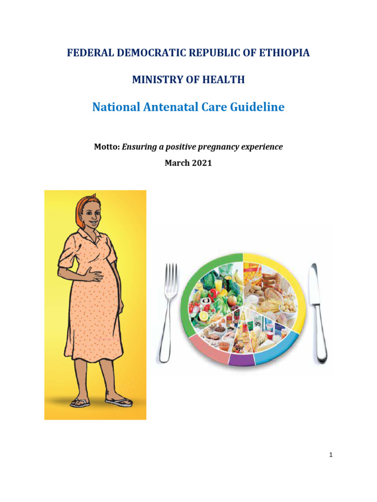 Prenatal versus antenatal – Exploring the differences in terminology and implications for pregnancy care visual data 3