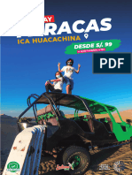 Full Day Paracas Ica 2024-1