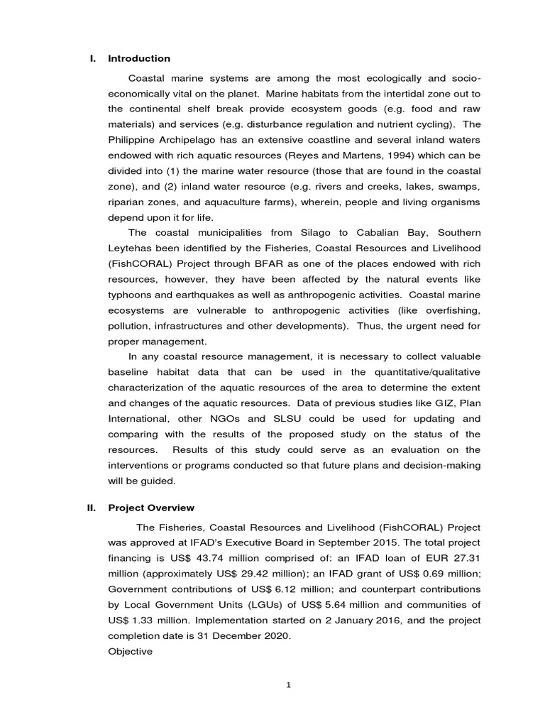 Coastal Resource Assessment in Southern Leyte | PDF | Coral Reef | Coral