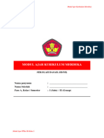 Modul RPP PPKN