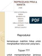 Sistem Reproduksi Pria &amp Wanita