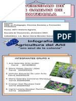 Infografía Agricultura Del Añil