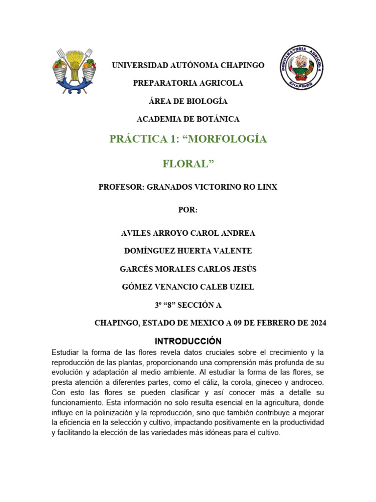 Morfología Floral: Estudio y Resultados | PDF | Flores | Ramas de la ...