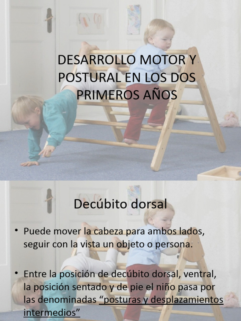 DESARROLLO MOTOR Y POSTURAL EN LOS DOS PRIMEROS PDF